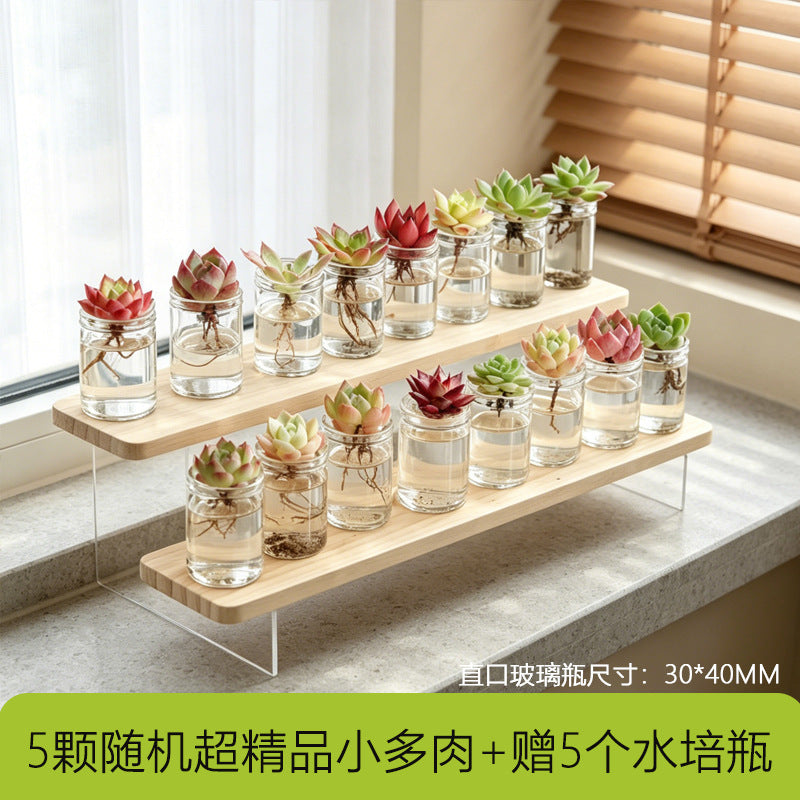 多功能带盖收纳罐茶叶枸杞菊花茶咖啡豆罐防潮密封家用厨房储存罐Multifunctional storage jar with lid – for tea, goji berries, chrysanthemum tea and coffee beans; moisture-proof, airtight, household kitchen storage jar
