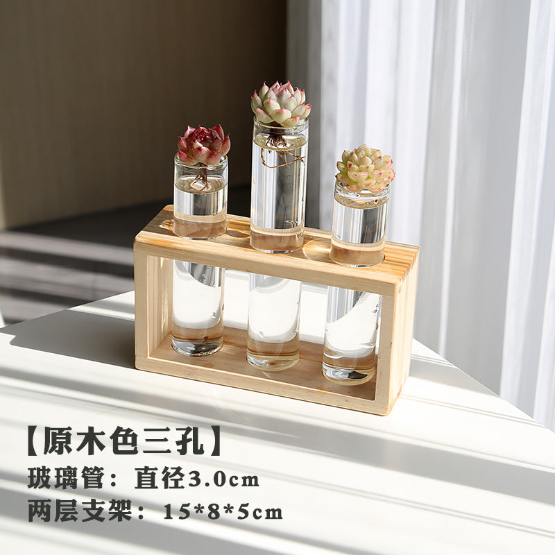 水培植物盆栽绿萝栀子花办公室内花卉小绿植四季养多肉水养盆栽Hydroponic plants, potted pothos, gardenias, office plants, small green plants, year-round care for succulents, water-grown potted plants