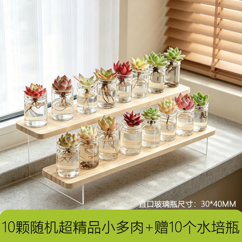 多功能带盖收纳罐茶叶枸杞菊花茶咖啡豆罐防潮密封家用厨房储存罐Multifunctional storage jar with lid – for tea, goji berries, chrysanthemum tea and coffee beans; moisture-proof, airtight, household kitchen storage jar