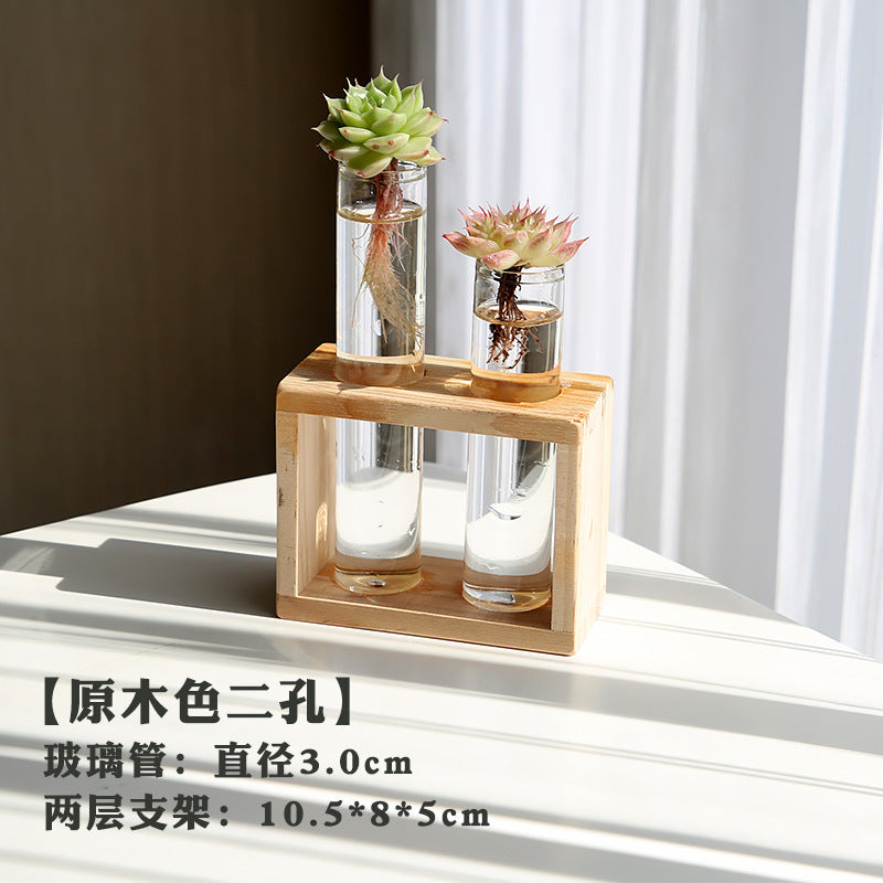 水培植物盆栽绿萝栀子花办公室内花卉小绿植四季养多肉水养盆栽Hydroponic plants, potted pothos, gardenias, office plants, small green plants, year-round care for succulents, water-grown potted plants