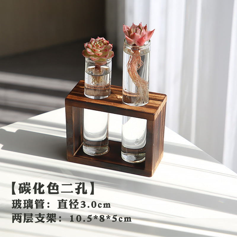 水培植物盆栽绿萝栀子花办公室内花卉小绿植四季养多肉水养盆栽Hydroponic plants, potted pothos, gardenias, office plants, small green plants, year-round care for succulents, water-grown potted plants