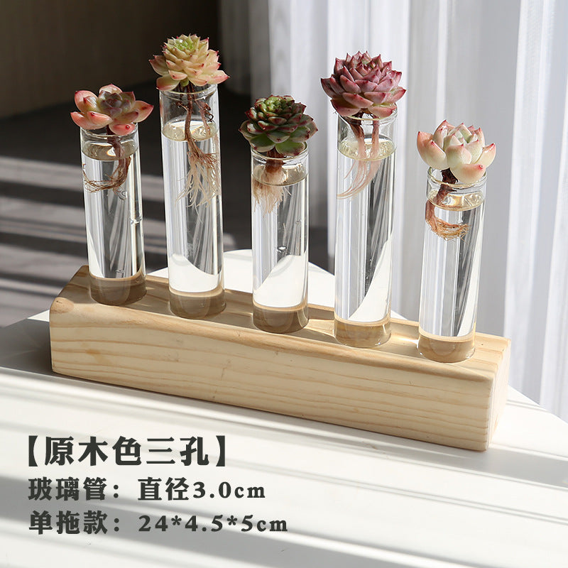 水培植物盆栽绿萝栀子花办公室内花卉小绿植四季养多肉水养盆栽Hydroponic plants, potted pothos, gardenias, office plants, small green plants, year-round care for succulents, water-grown potted plants