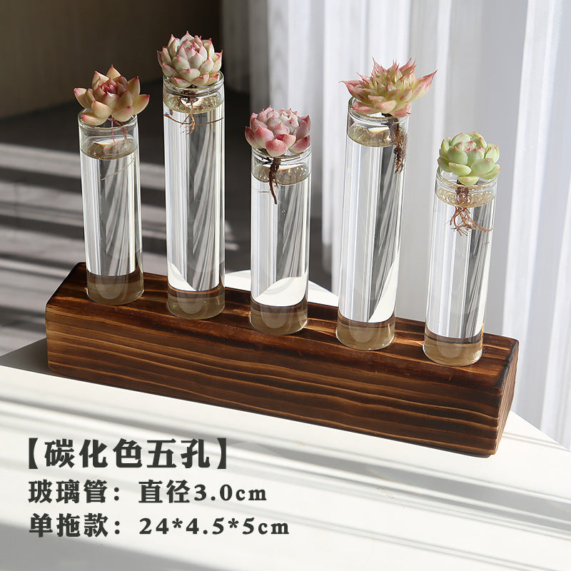 水培植物盆栽绿萝栀子花办公室内花卉小绿植四季养多肉水养盆栽Hydroponic plants, potted pothos, gardenias, office plants, small green plants, year-round care for succulents, water-grown potted plants