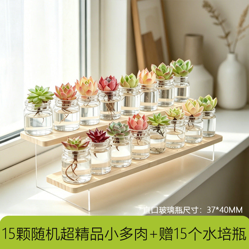 多功能带盖收纳罐茶叶枸杞菊花茶咖啡豆罐防潮密封家用厨房储存罐Multifunctional storage jar with lid – for tea, goji berries, chrysanthemum tea and coffee beans; moisture-proof, airtight, household kitchen storage jar