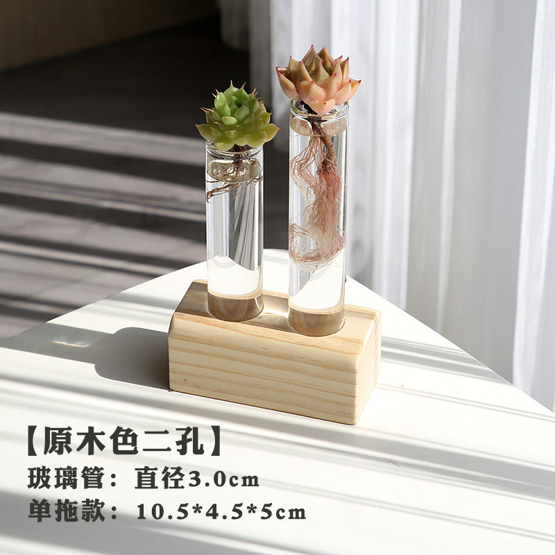 水培植物盆栽绿萝栀子花办公室内花卉小绿植四季养多肉水养盆栽Hydroponic plants, potted pothos, gardenias, office plants, small green plants, year-round care for succulents, water-grown potted plants