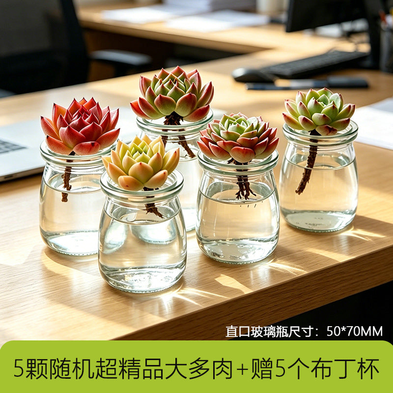 多功能带盖收纳罐茶叶枸杞菊花茶咖啡豆罐防潮密封家用厨房储存罐Multifunctional storage jar with lid – for tea, goji berries, chrysanthemum tea and coffee beans; moisture-proof, airtight, household kitchen storage jar