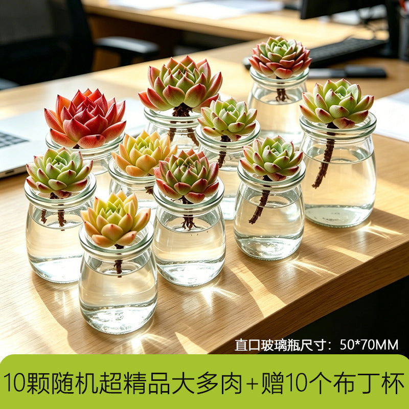 多功能带盖收纳罐茶叶枸杞菊花茶咖啡豆罐防潮密封家用厨房储存罐Multifunctional storage jar with lid – for tea, goji berries, chrysanthemum tea and coffee beans; moisture-proof, airtight, household kitchen storage jar