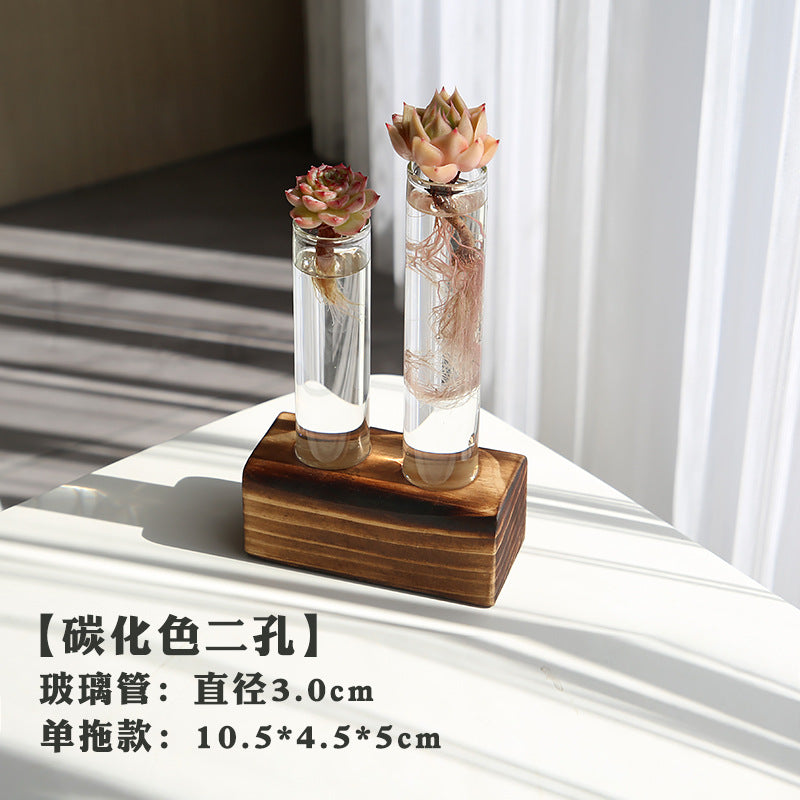 水培植物盆栽绿萝栀子花办公室内花卉小绿植四季养多肉水养盆栽Hydroponic plants, potted pothos, gardenias, office plants, small green plants, year-round care for succulents, water-grown potted plants