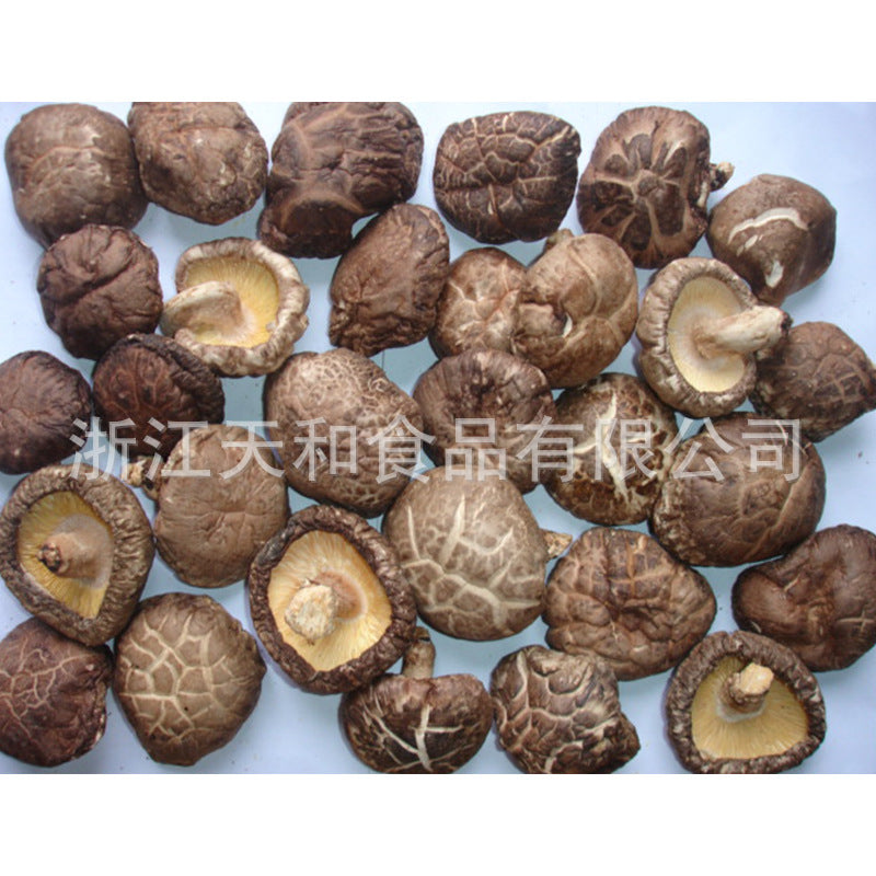 源头厂家供应原木冬菇厚菇 批发椴木香菇干 食用菌干货土特产Direct from the manufacturer: whole log-grown winter mushrooms and thick mushrooms; wholesale dried shiitake mushrooms grown on linden wood; dried edible fungi and local specialities