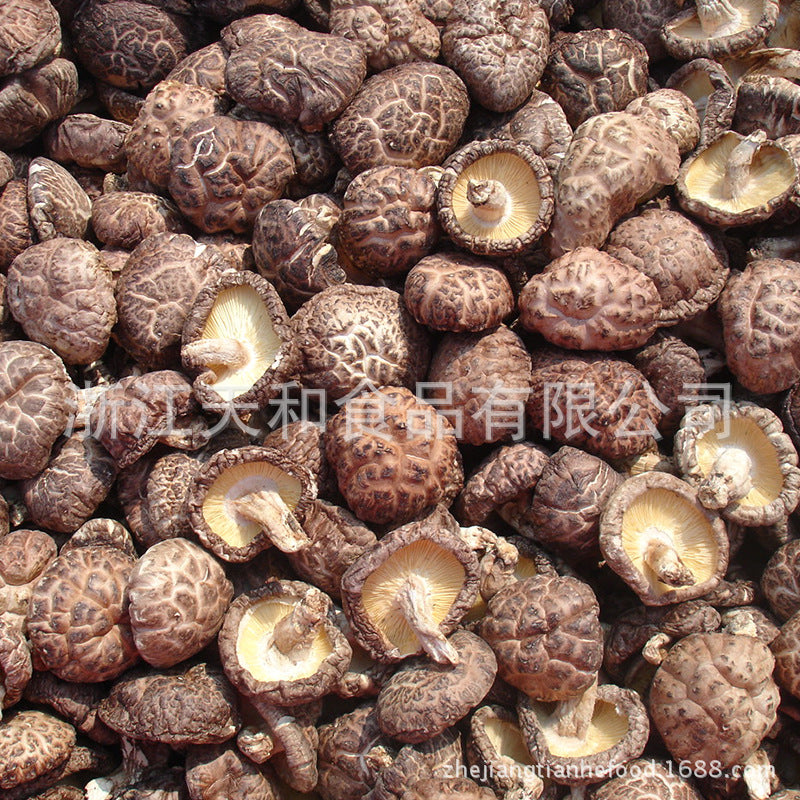 源头厂家供应原木茶花菇批发椴木香菇食用菌干货土特产Direct from the manufacturer: wholesale supply of whole log camellia mushrooms, linden log shiitake mushrooms, dried edible fungi and local specialities