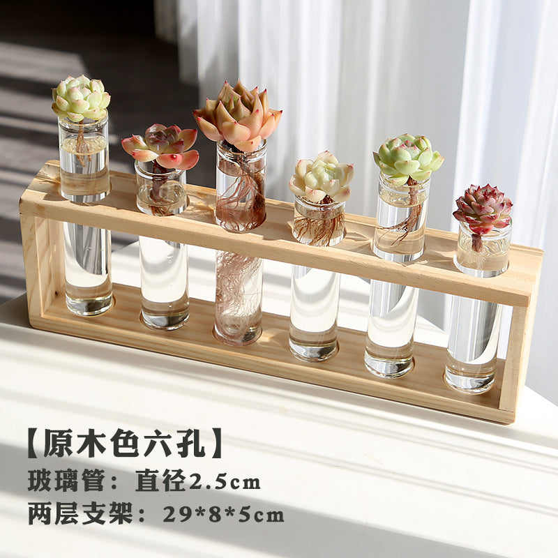 水培植物盆栽绿萝栀子花办公室内花卉小绿植四季养多肉水养盆栽Hydroponic plants, potted pothos, gardenias, office plants, small green plants, year-round care for succulents, water-grown potted plants
