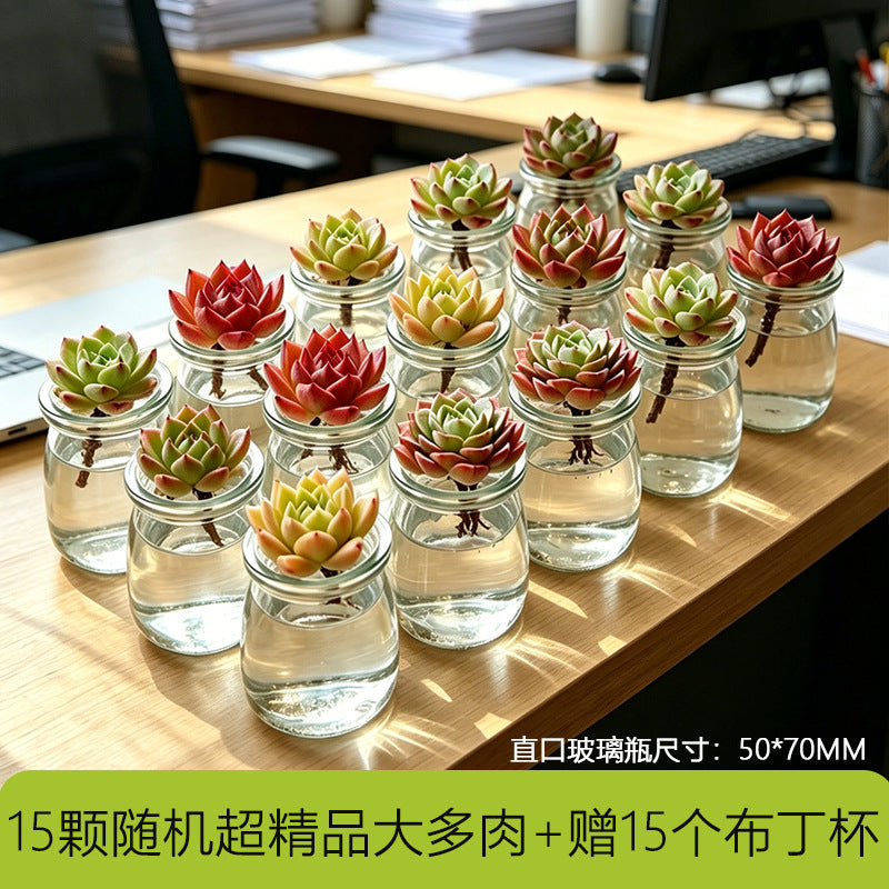 多功能带盖收纳罐茶叶枸杞菊花茶咖啡豆罐防潮密封家用厨房储存罐Multifunctional storage jar with lid – for tea, goji berries, chrysanthemum tea and coffee beans; moisture-proof, airtight, household kitchen storage jar