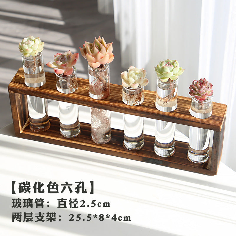 水培植物盆栽绿萝栀子花办公室内花卉小绿植四季养多肉水养盆栽Hydroponic plants, potted pothos, gardenias, office plants, small green plants, year-round care for succulents, water-grown potted plants