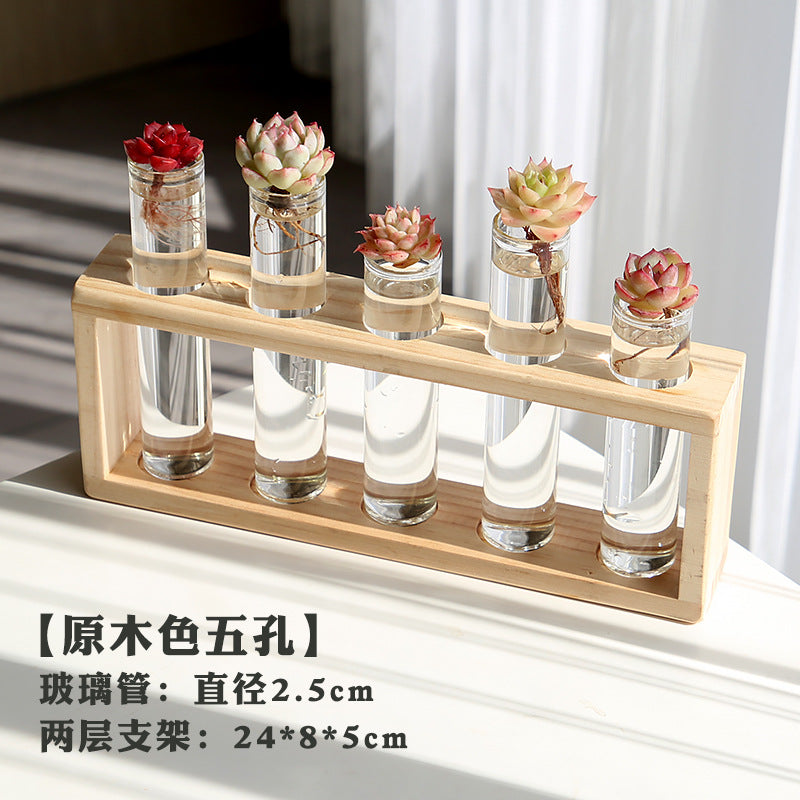 水培植物盆栽绿萝栀子花办公室内花卉小绿植四季养多肉水养盆栽Hydroponic plants, potted pothos, gardenias, office plants, small green plants, year-round care for succulents, water-grown potted plants