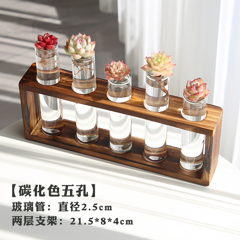 水培植物盆栽绿萝栀子花办公室内花卉小绿植四季养多肉水养盆栽Hydroponic plants, potted pothos, gardenias, office plants, small green plants, year-round care for succulents, water-grown potted plants