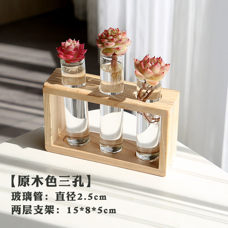 水培植物盆栽绿萝栀子花办公室内花卉小绿植四季养多肉水养盆栽Hydroponic plants, potted pothos, gardenias, office plants, small green plants, year-round care for succulents, water-grown potted plants