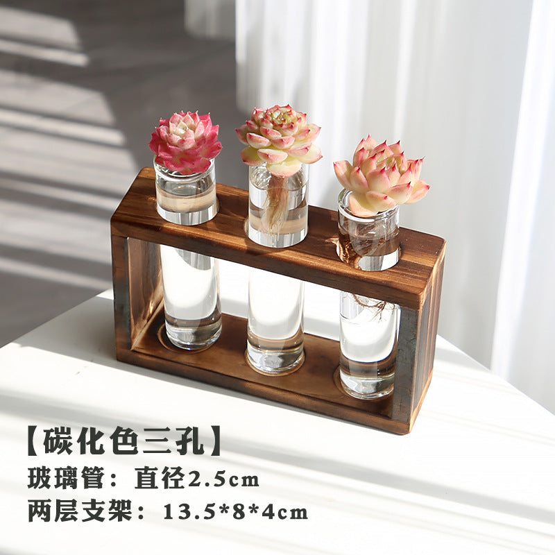 水培植物盆栽绿萝栀子花办公室内花卉小绿植四季养多肉水养盆栽Hydroponic plants, potted pothos, gardenias, office plants, small green plants, year-round care for succulents, water-grown potted plants