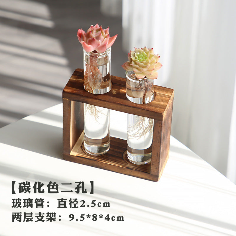 水培植物盆栽绿萝栀子花办公室内花卉小绿植四季养多肉水养盆栽Hydroponic plants, potted pothos, gardenias, office plants, small green plants, year-round care for succulents, water-grown potted plants