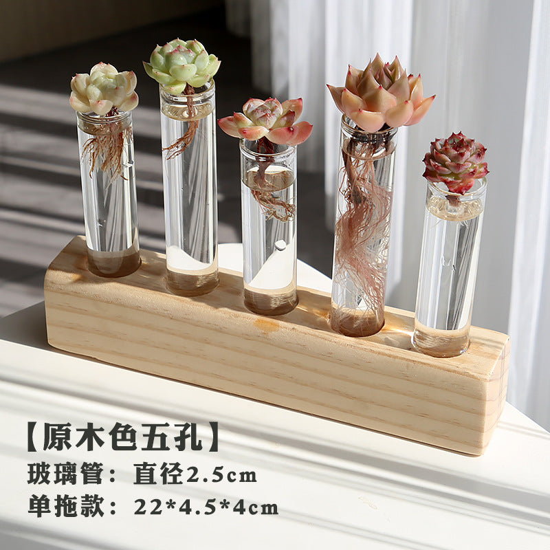 水培植物盆栽绿萝栀子花办公室内花卉小绿植四季养多肉水养盆栽Hydroponic plants, potted pothos, gardenias, office plants, small green plants, year-round care for succulents, water-grown potted plants