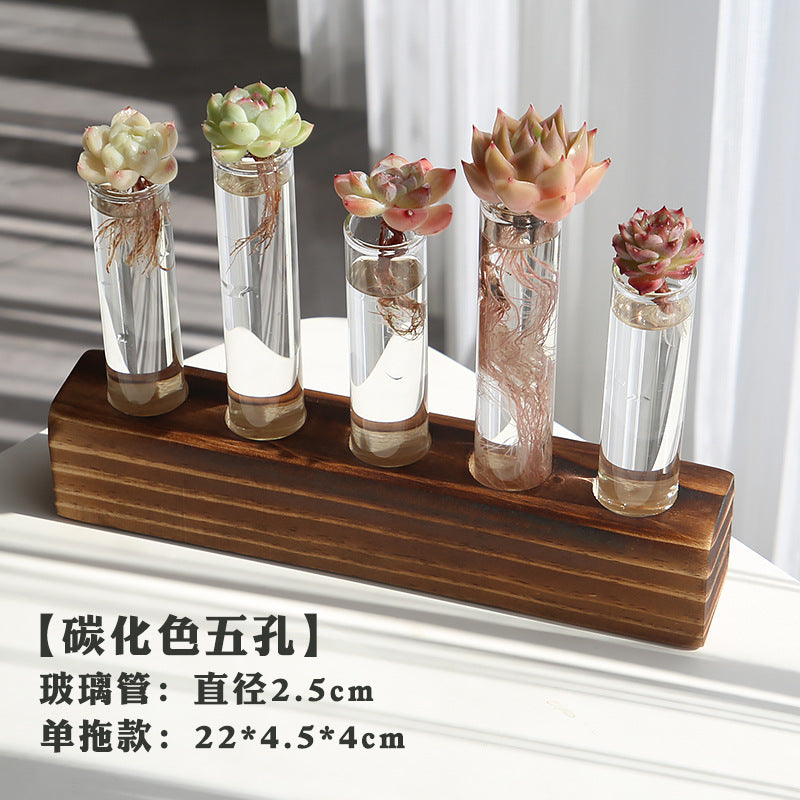 水培植物盆栽绿萝栀子花办公室内花卉小绿植四季养多肉水养盆栽Hydroponic plants, potted pothos, gardenias, office plants, small green plants, year-round care for succulents, water-grown potted plants