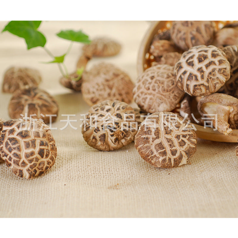 源头厂家供应原木白花冬菇 批发椴木干香菇 食用菌干货土特产Direct from the manufacturer: whole white-flowered winter mushrooms; wholesale dried shiitake mushrooms grown on linden wood; dried edible fungi and local specialities