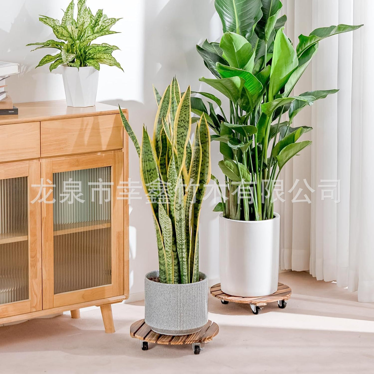 带轮花盆托盘底座便携式滚轮万向轮可移动盆栽架圆形木质植物支架Wheeled plant pot tray base, portable castors, swivel wheels, movable plant stand, round wooden plant stand