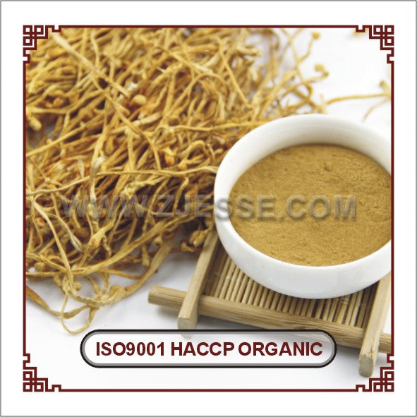 茶树菇提取物定制 厂家供应茶树菇多糖胶囊OEM贴牌代加工Customised Tea Tree Mushroom Extract – Manufacturer Supplies OEM and Private-Label Contract Manufacturing of Tea Tree Mushroom Polysaccharide Capsules
