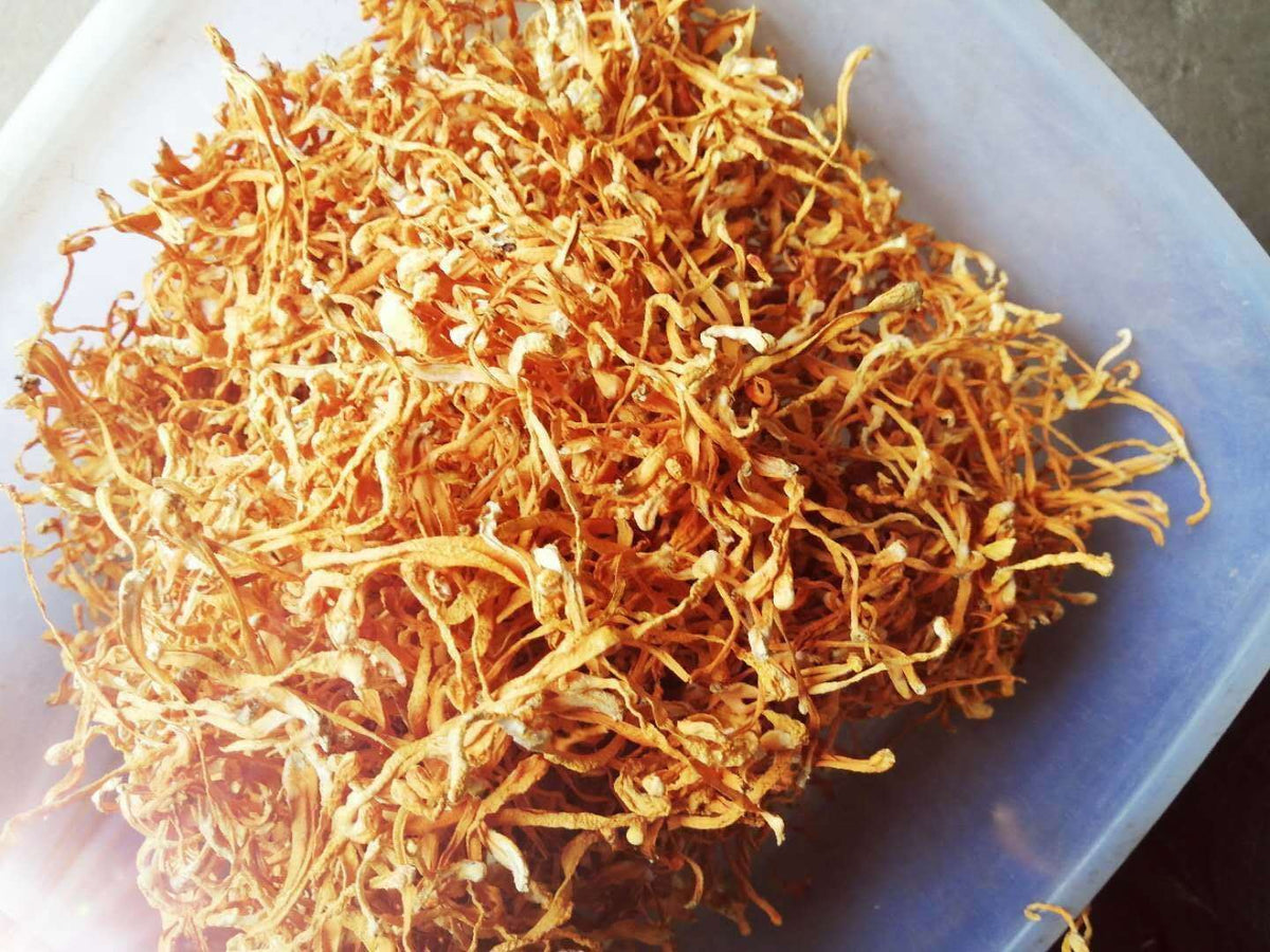 天和泉  蛹虫草200g 食用菌干货Tianhequan  Cordyceps Larvae 200g Dried Edible Fungi