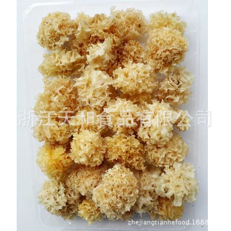 源头厂家供应椴木银耳 批发原木白木耳 食用菌特产Direct from the manufacturer: linden wood silver ear mushrooms; wholesale log-grown white wood ear mushrooms; edible fungi specialities