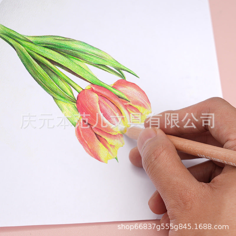 2支装调和笔 Pack of 2 blending pens