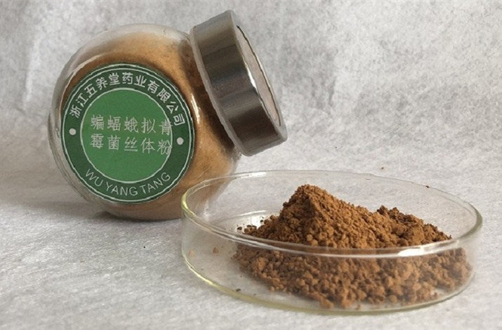 蝙蝠蛾拟青霉菌丝体粉 厂家供应发酵虫草菌粉原料批发现货Pseudomucor mycelium powder from bat moths – Manufacturer’s supply of raw material for fermented Cordyceps powder, available in bulk and in stock