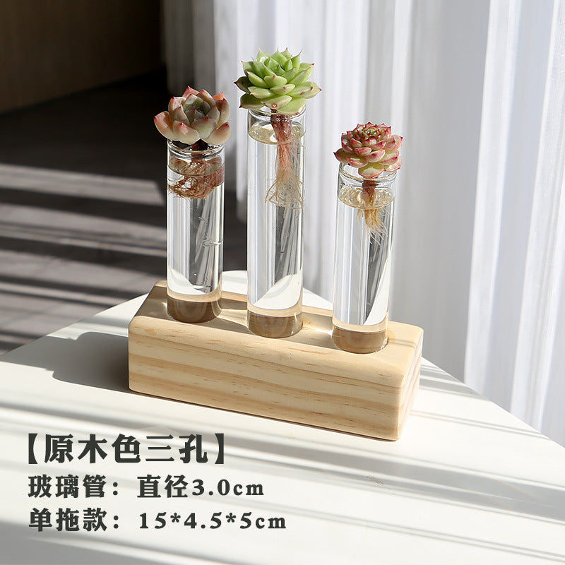 水培植物盆栽绿萝栀子花办公室内花卉小绿植四季养多肉水养盆栽Hydroponic plants, potted pothos, gardenias, office plants, small green plants, year-round care for succulents, water-grown potted plants