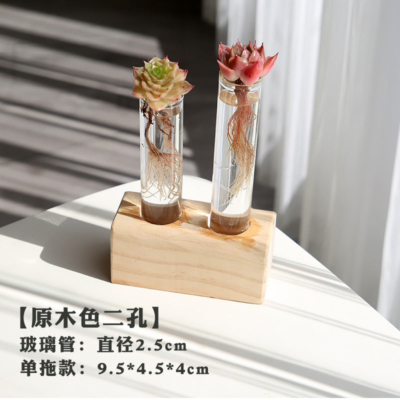 水培植物盆栽绿萝栀子花办公室内花卉小绿植四季养多肉水养盆栽Hydroponic plants, potted pothos, gardenias, office plants, small green plants, year-round care for succulents, water-grown potted plants