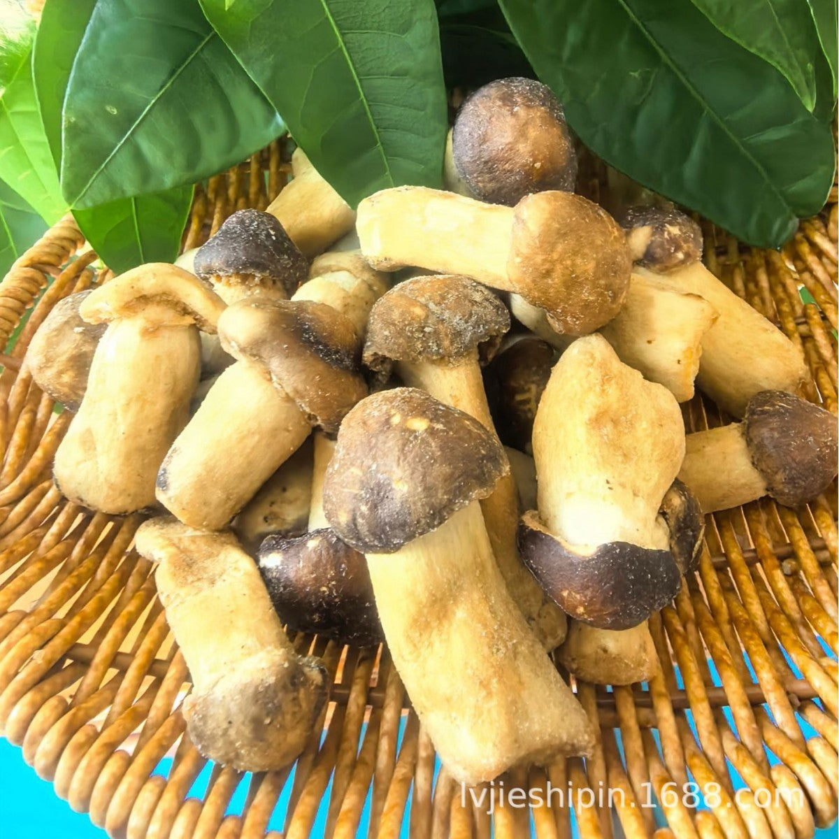 【OEM代加工贴牌定制】松茸脆菌菇脆脱水蔬菜干即食零食厂家[OEM Contract Manufacturing and Private Labelling] Manufacturer of Matsutake Mushroom Crisps, Dried Mushroom Crisps and Dried Vegetables – Ready-to-Eat Snacks
