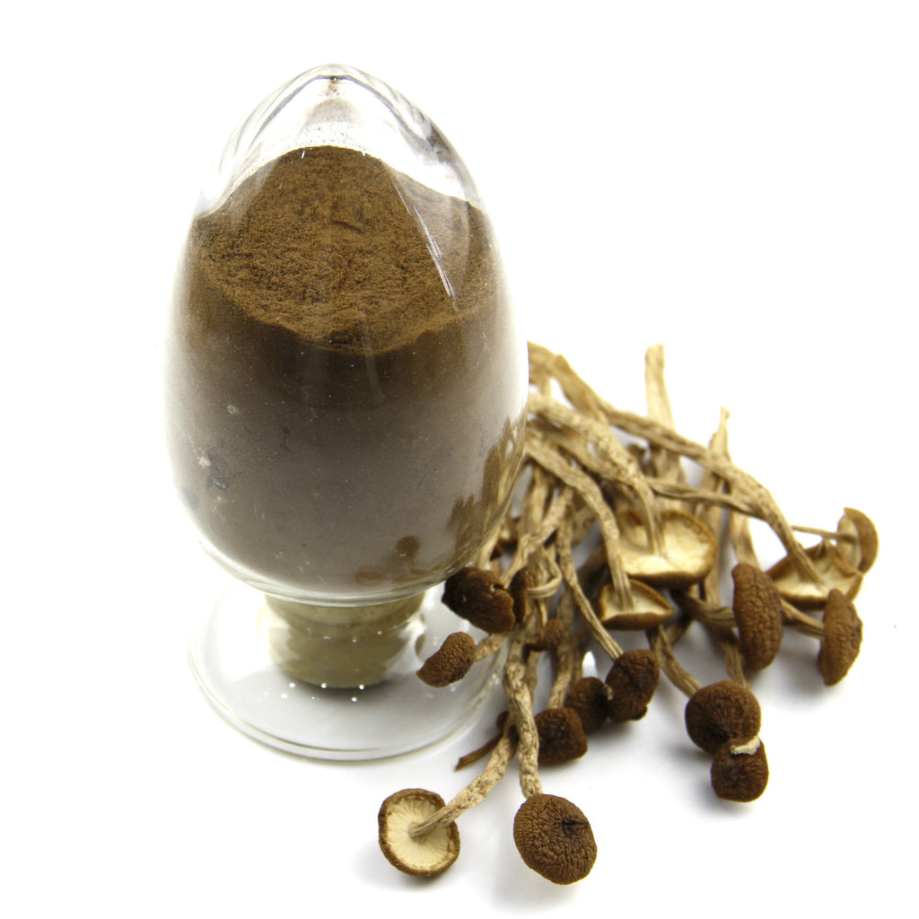 茶树菇提取物 厂家供应茶树菇多糖30_原料批发Tea Tree Mushroom Extract – Manufacturer supplying Tea Tree Mushroom Polysaccharide 30 – Raw Material Wholesale