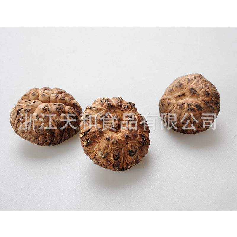 源头厂家供应原木茶花菇批发椴木香菇食用菌干货土特产Direct from the manufacturer: wholesale supply of whole log camellia mushrooms, linden log shiitake mushrooms, dried edible fungi and local specialities