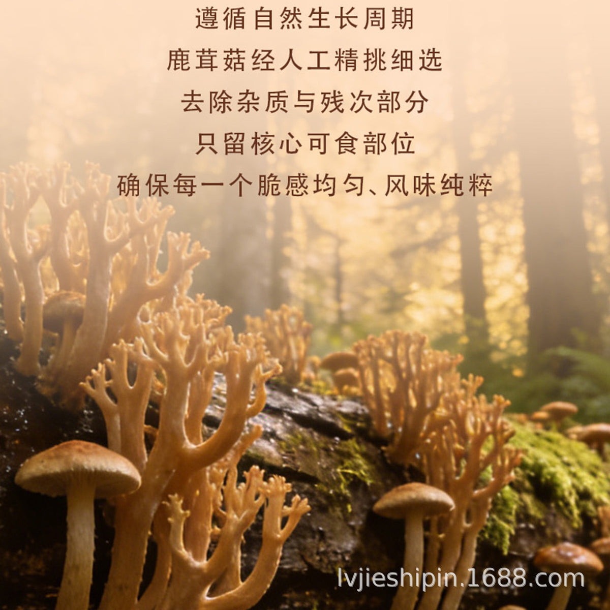 鹿茸菇脆菌菇脆片香菇干果蔬干低温脱水蔬菜干开袋即食零食批发Deer Antler Mushroom Crisps, Mushroom Crisps, Dried Shiitake Mushrooms, Dried Fruit and Vegetables, Freeze-Dried Vegetables – Ready-to-Eat Snacks, Wholesale