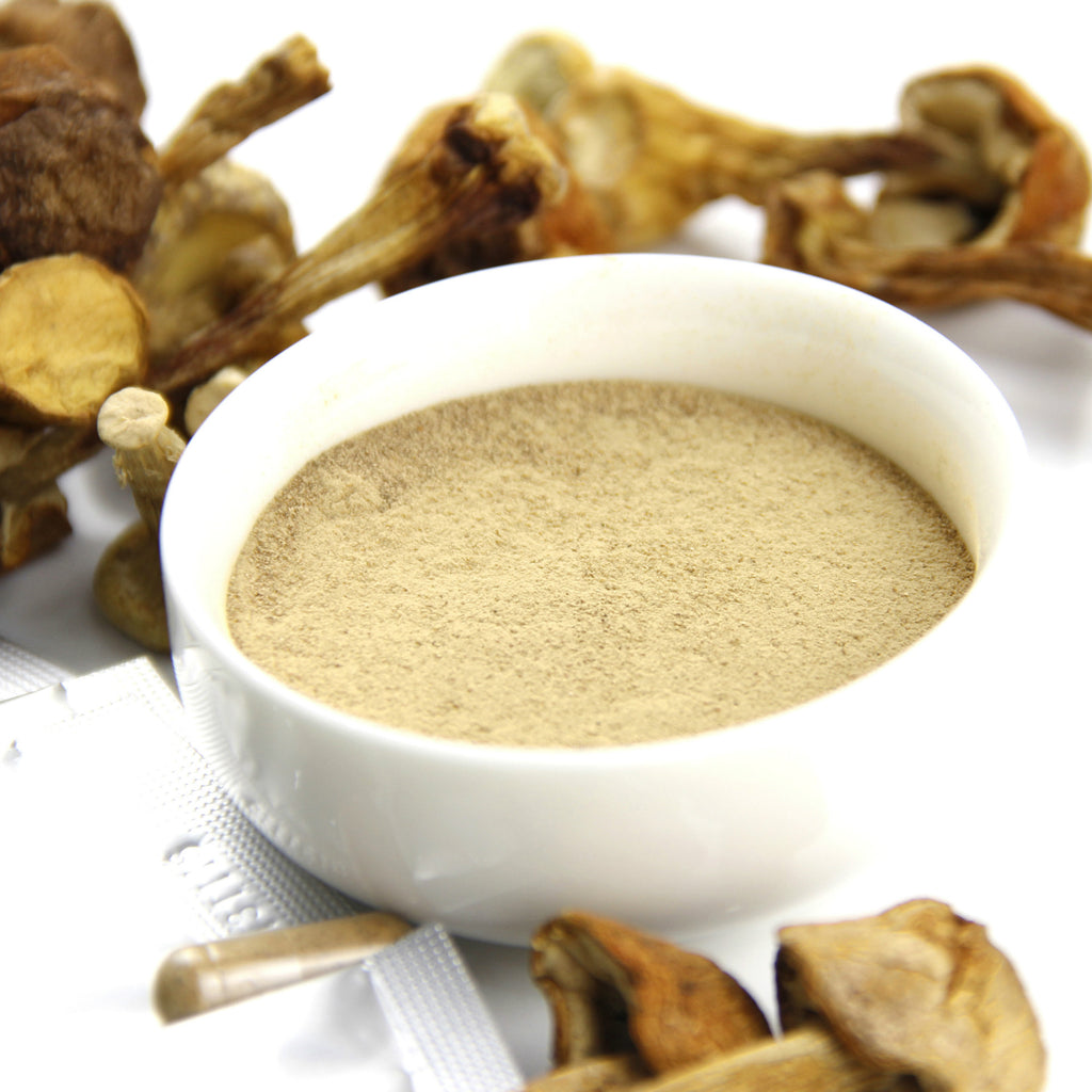 姬松茸子实体多糖 厂家供应姬松茸提取物原料批发Agaricus blazei Polysaccharides – Manufacturer supplying wholesale Agaricus blazei extract raw materials