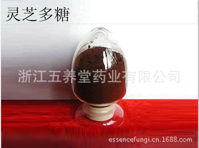灵芝菌丝体多糖灵芝提取物批发厂家供应破壁灵芝孢子粉原料Wholesale manufacturer of Ganoderma lucidum mycelium polysaccharide extracts supplying raw material for cell-wall-broken Ganoderma lucidum spore powder