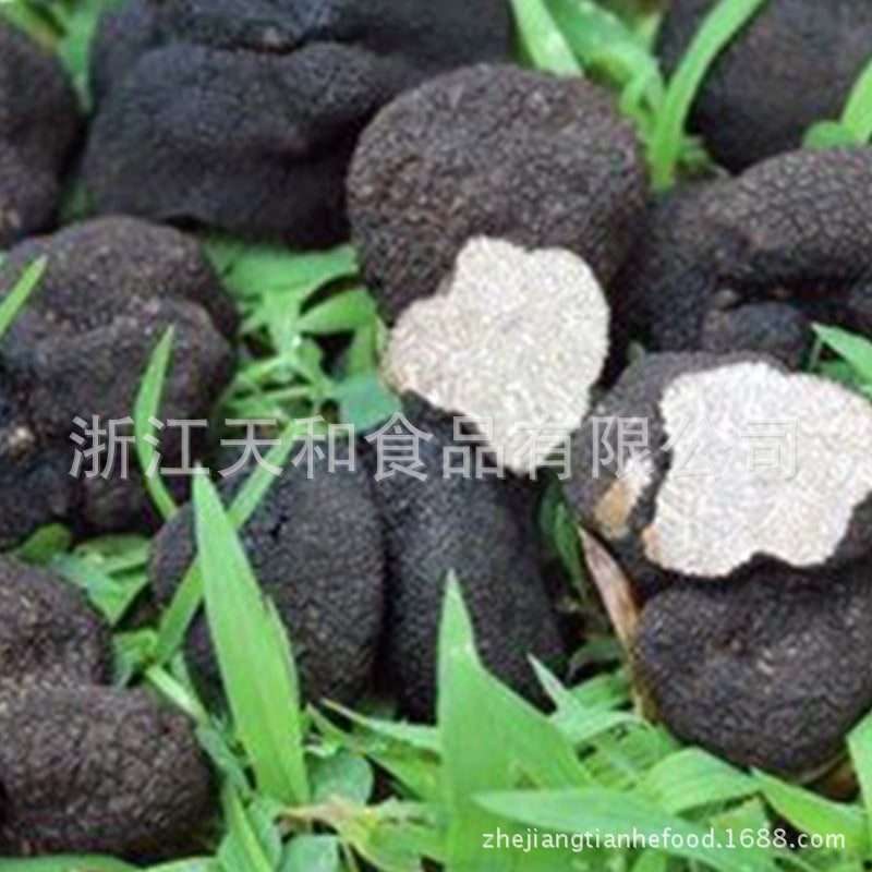 源头厂家供应野生块菌批发松露干货野生菌土特产礼品Direct from the source: wholesale supply of wild truffles, dried truffles, wild mushrooms and local speciality gifts