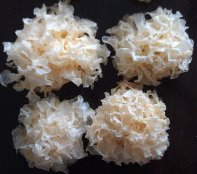 源头厂家供应椴木银耳 批发原木白木耳 食用菌特产Direct from the manufacturer: linden wood silver ear mushrooms; wholesale log-grown white wood ear mushrooms; edible fungi specialities
