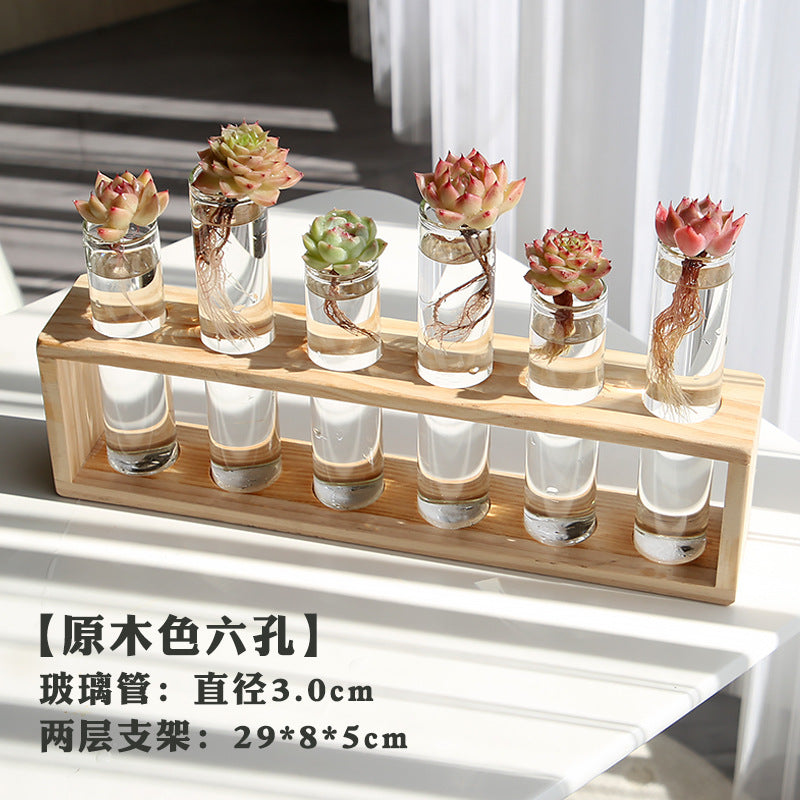 水培植物盆栽绿萝栀子花办公室内花卉小绿植四季养多肉水养盆栽Hydroponic plants, potted pothos, gardenias, office plants, small green plants, year-round care for succulents, water-grown potted plants