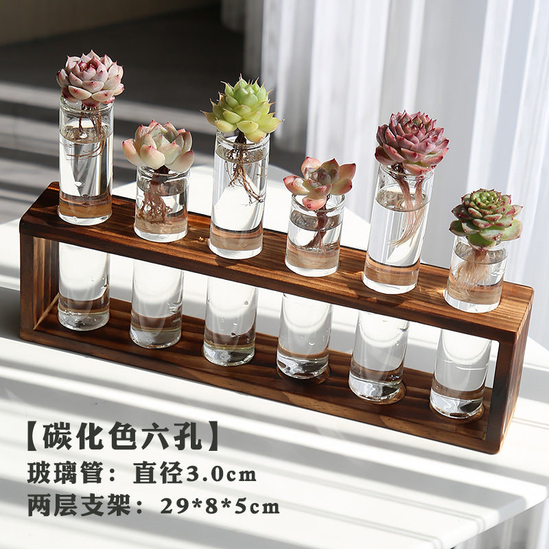 水培植物盆栽绿萝栀子花办公室内花卉小绿植四季养多肉水养盆栽Hydroponic plants, potted pothos, gardenias, office plants, small green plants, year-round care for succulents, water-grown potted plants