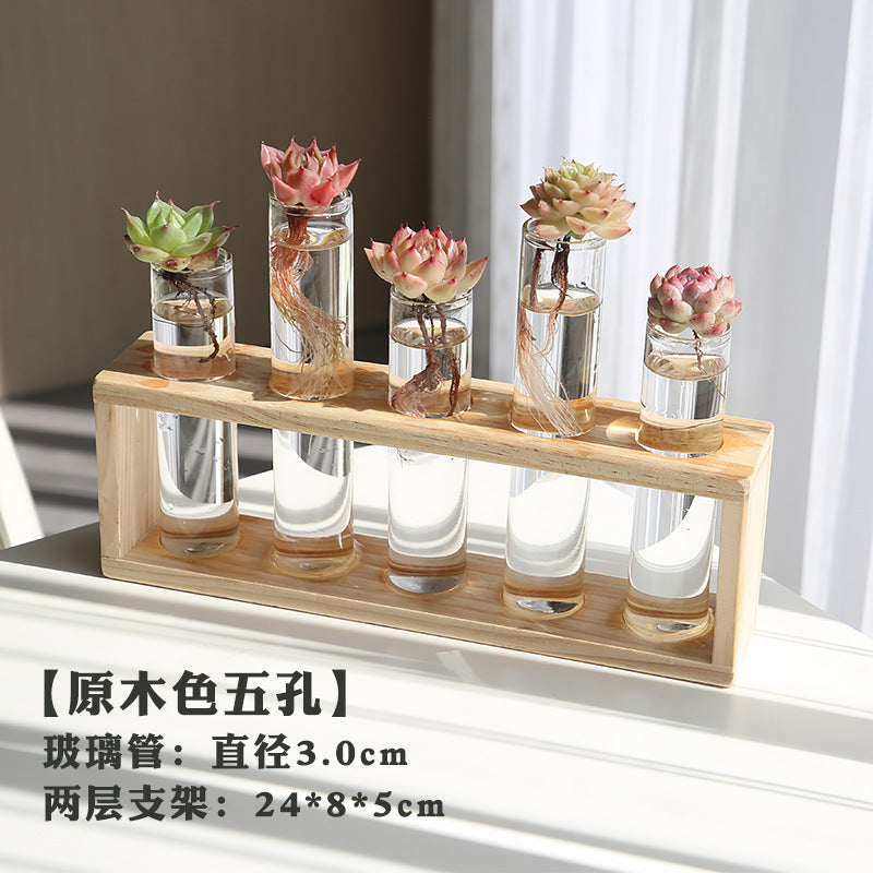 水培植物盆栽绿萝栀子花办公室内花卉小绿植四季养多肉水养盆栽Hydroponic plants, potted pothos, gardenias, office plants, small green plants, year-round care for succulents, water-grown potted plants