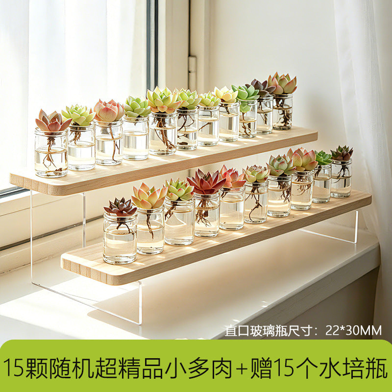 多功能带盖收纳罐茶叶枸杞菊花茶咖啡豆罐防潮密封家用厨房储存罐Multifunctional storage jar with lid – for tea, goji berries, chrysanthemum tea and coffee beans; moisture-proof, airtight, household kitchen storage jar