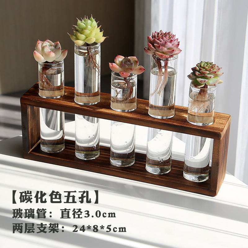 水培植物盆栽绿萝栀子花办公室内花卉小绿植四季养多肉水养盆栽Hydroponic plants, potted pothos, gardenias, office plants, small green plants, year-round care for succulents, water-grown potted plants